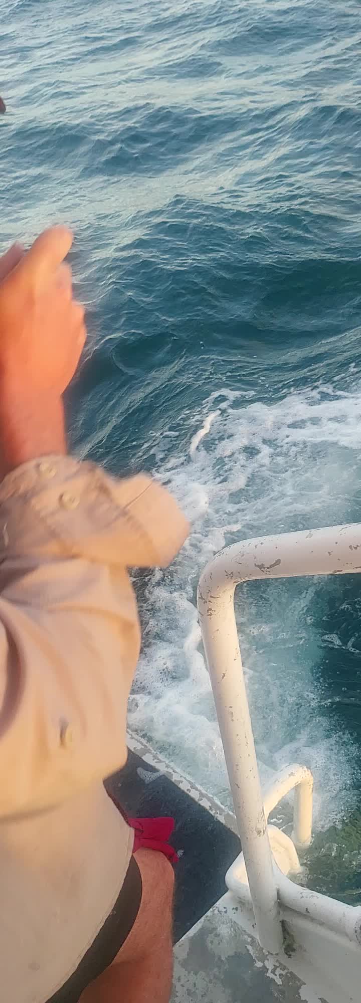 @Whitsunday_Wet_Stuff