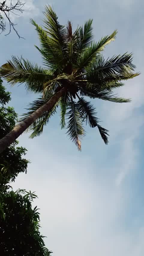 @ram k