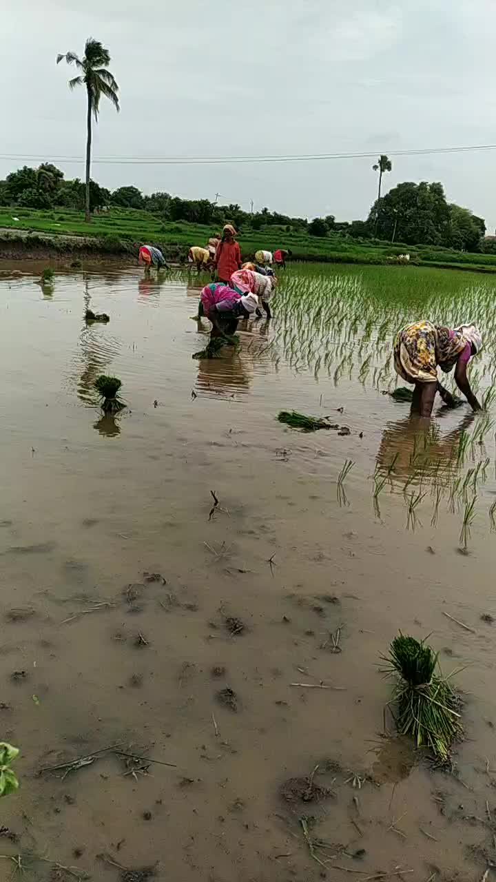 @SAI GOUD
