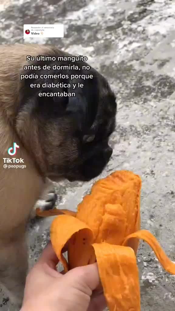 @Nay ‹3 • llorando