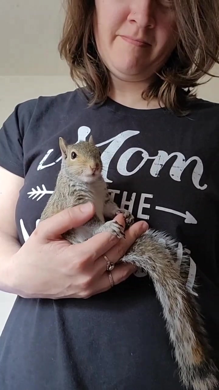 @ZippyTheRescueSquirrel