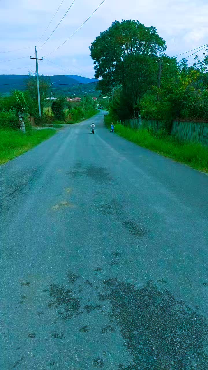 @გულო რობაქიძე