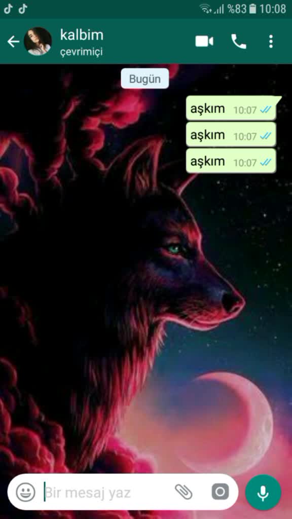 @ahmetsametkurt541