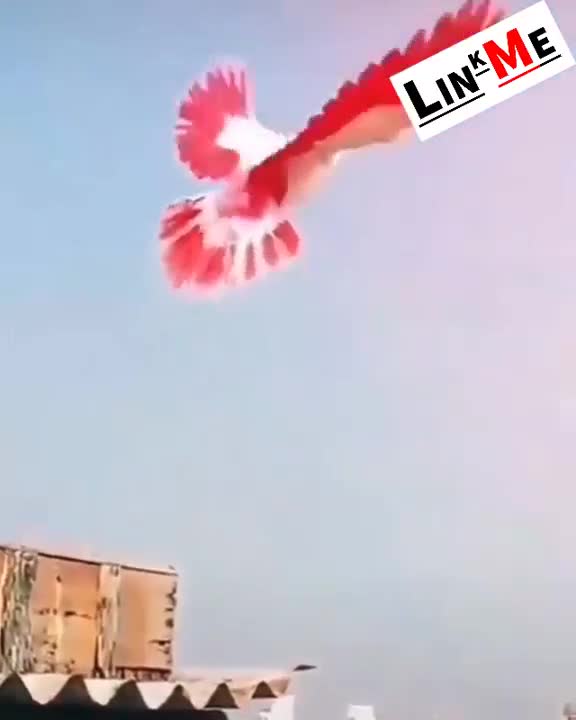 @ᏙᏆKᎡᎪᎷ ᏢᎪNNᏌ ✅