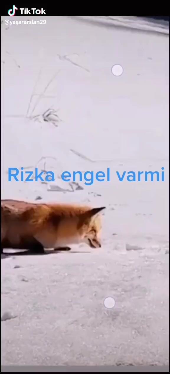 @Süleyman Akdoğan