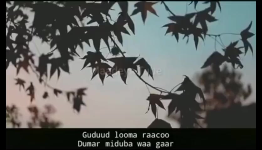 @ismail qaraami