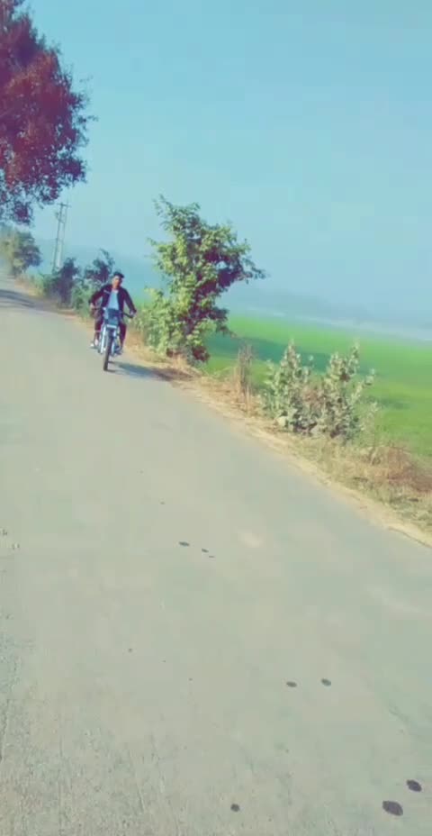 @vikash