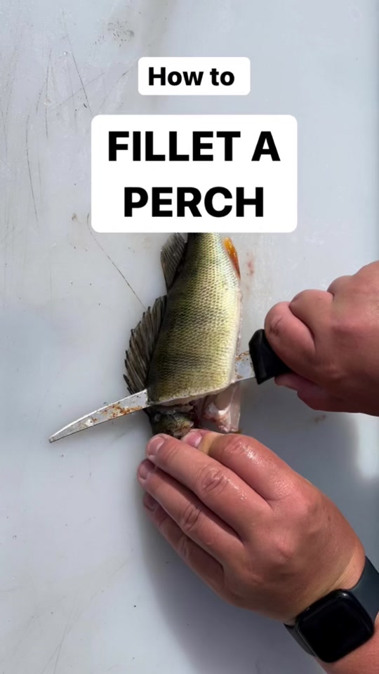 @Knifeandapron
