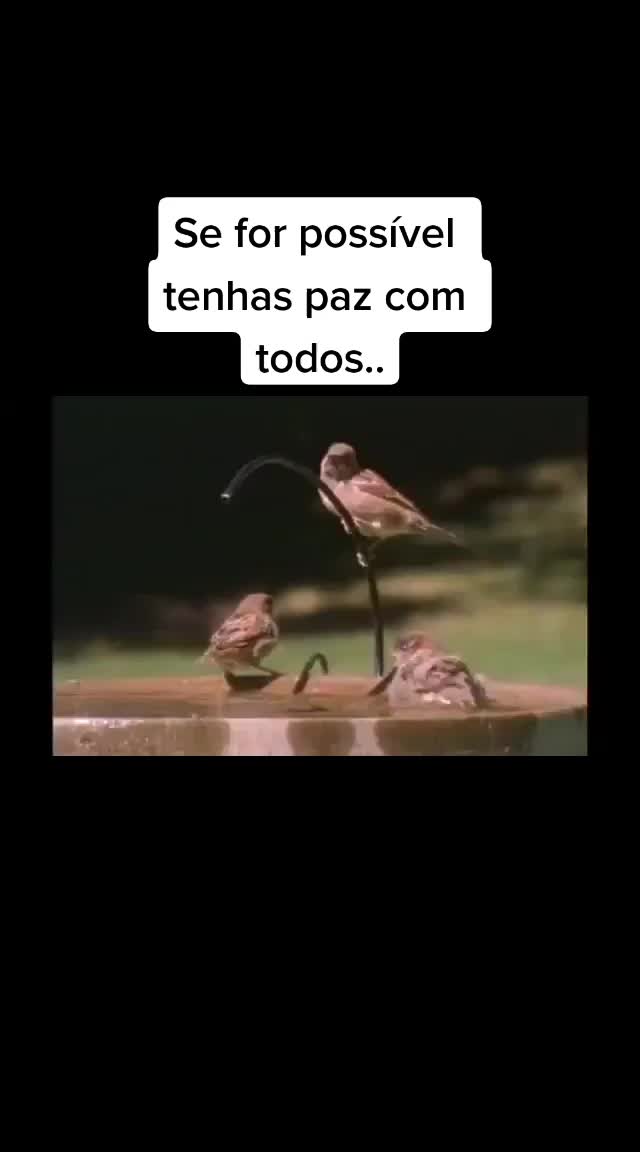 @🇧🇷Lady_smile🌺 🇧🇷🇪🇦🇮🇪