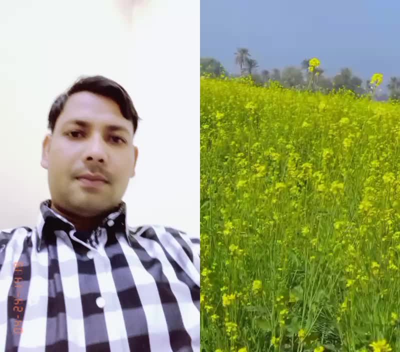 @up_BOY