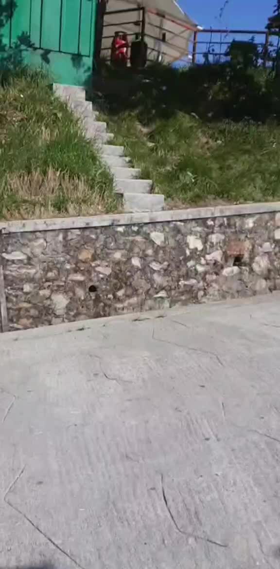 @🦋