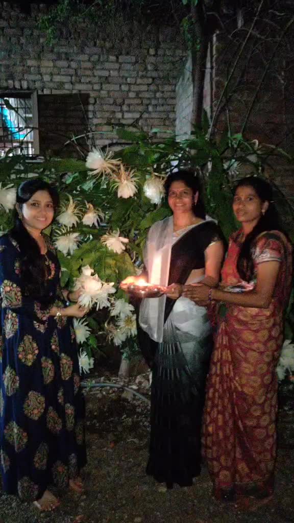 @Nanda Ganjure