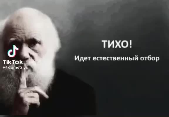 @Турист