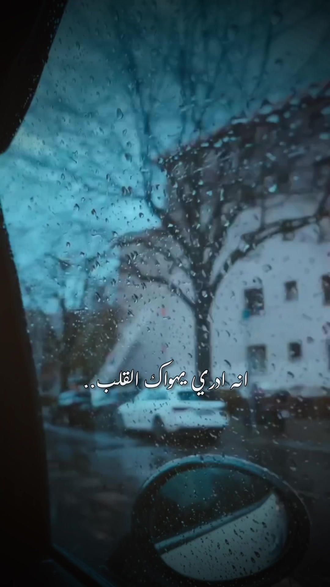@Maryam Alsamaraie