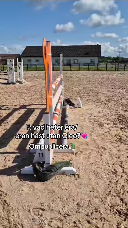@loucie_a