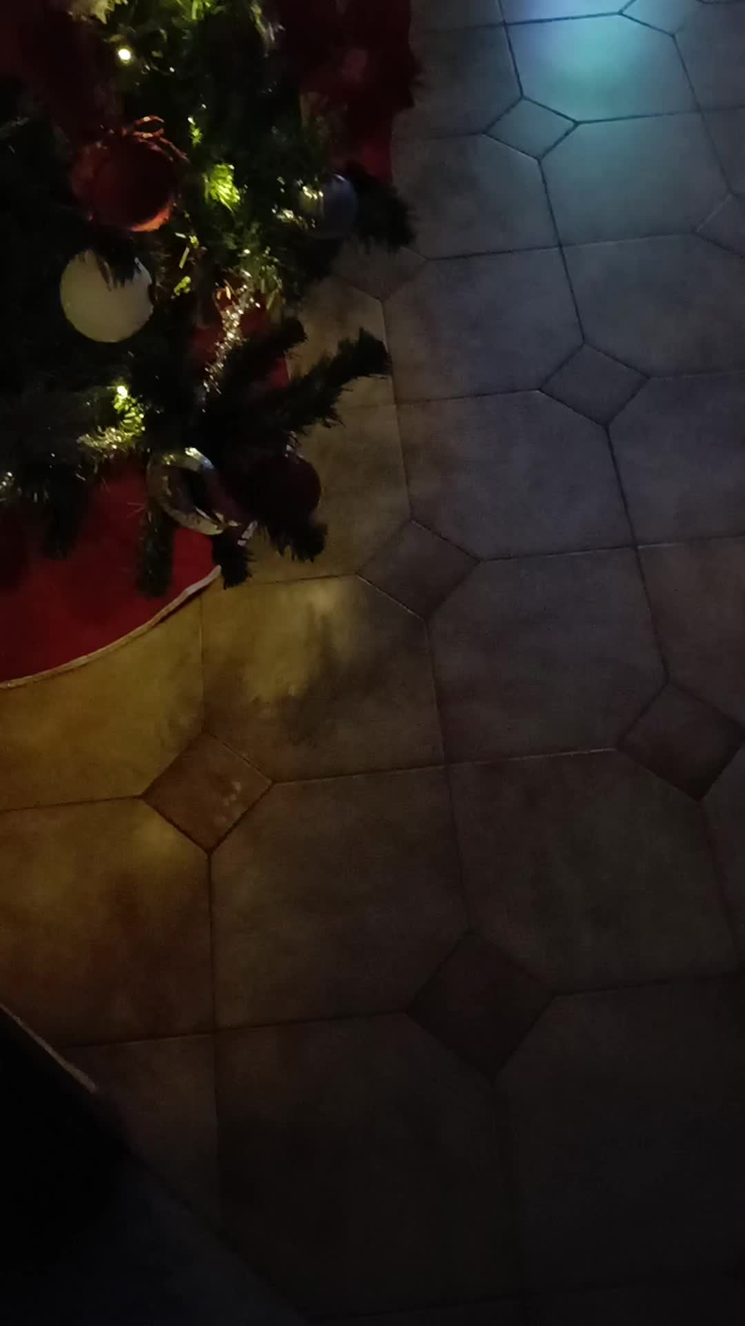 @Rita Giuliano