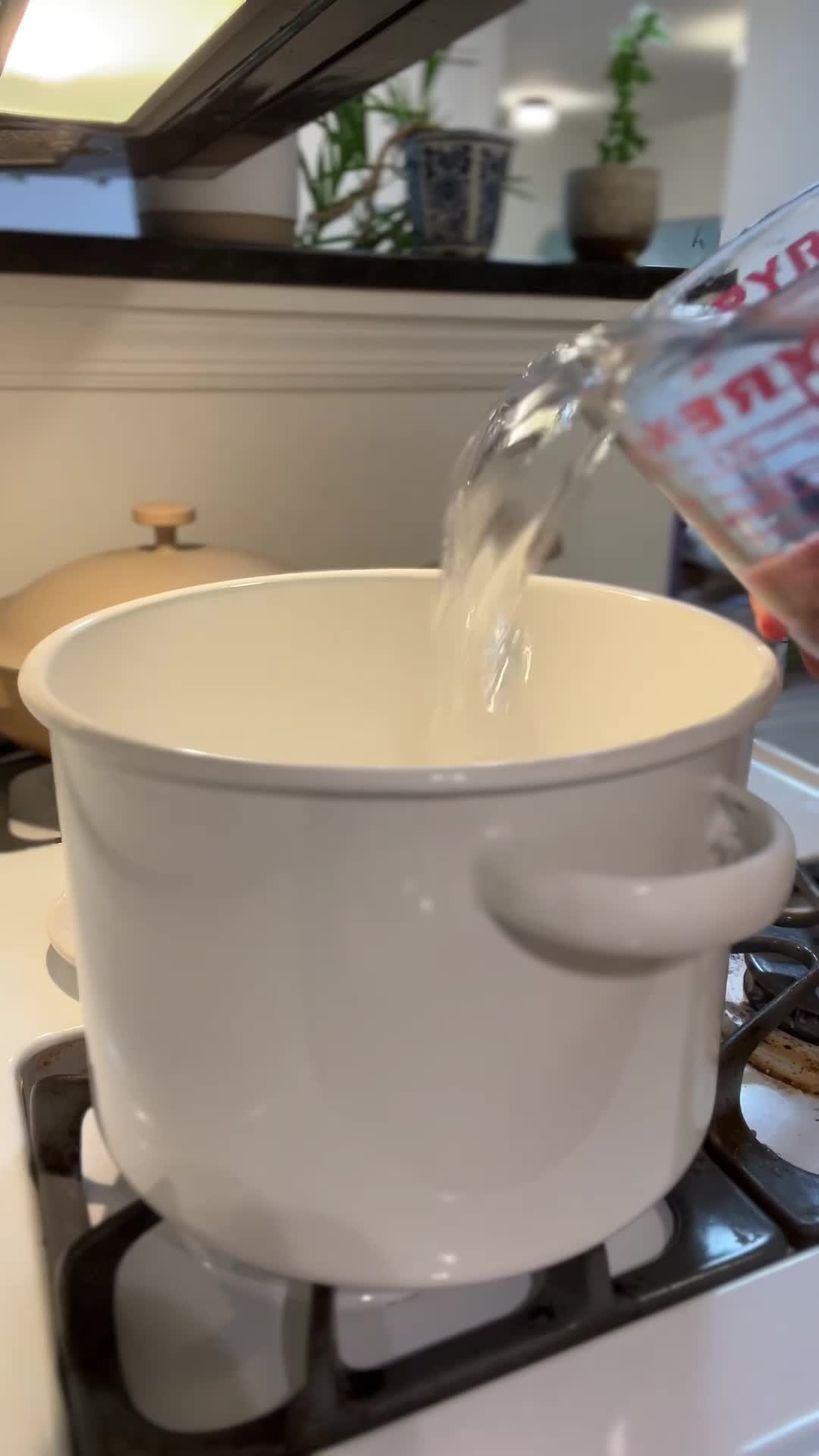 @パップ