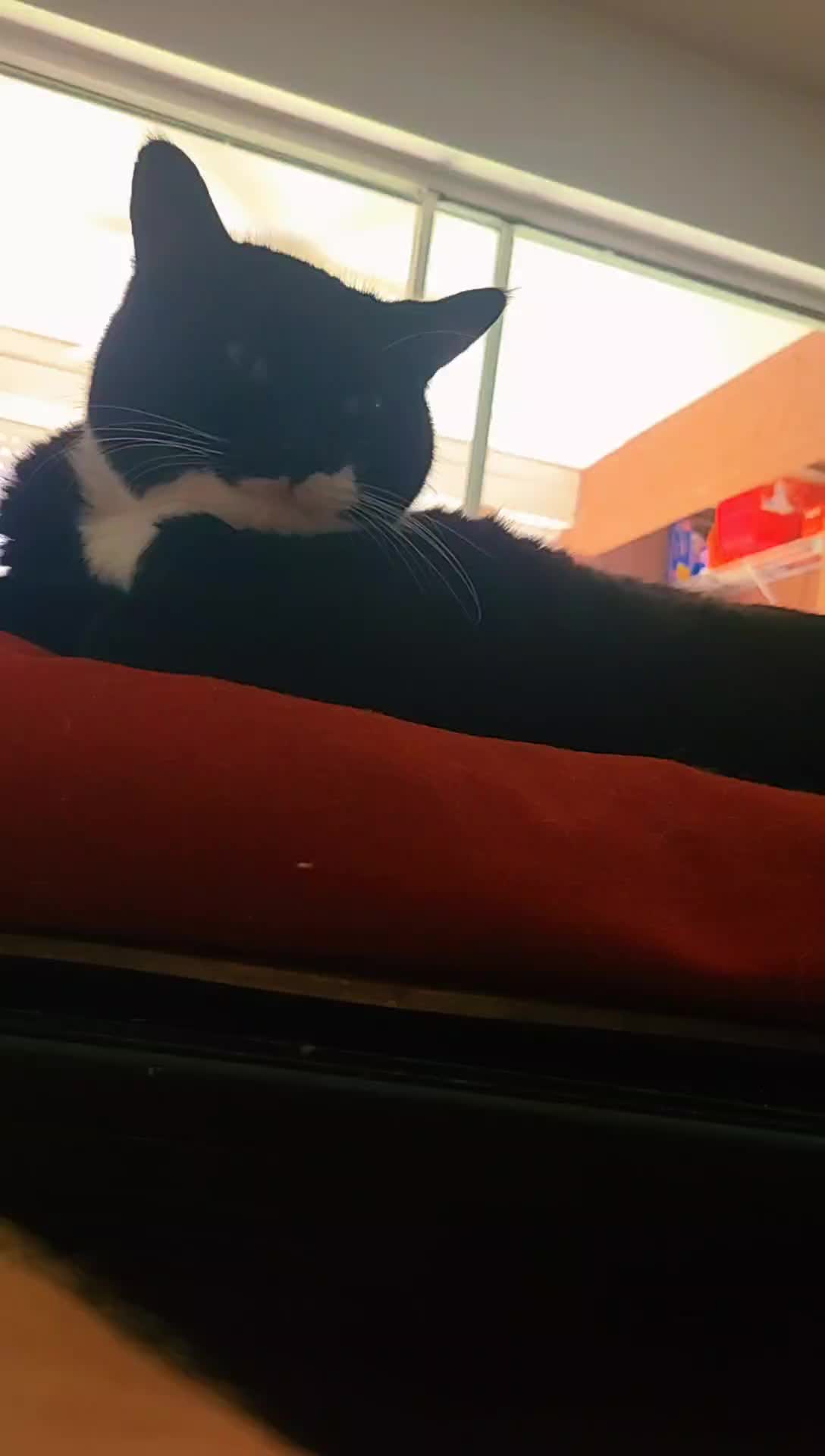@MrPickles