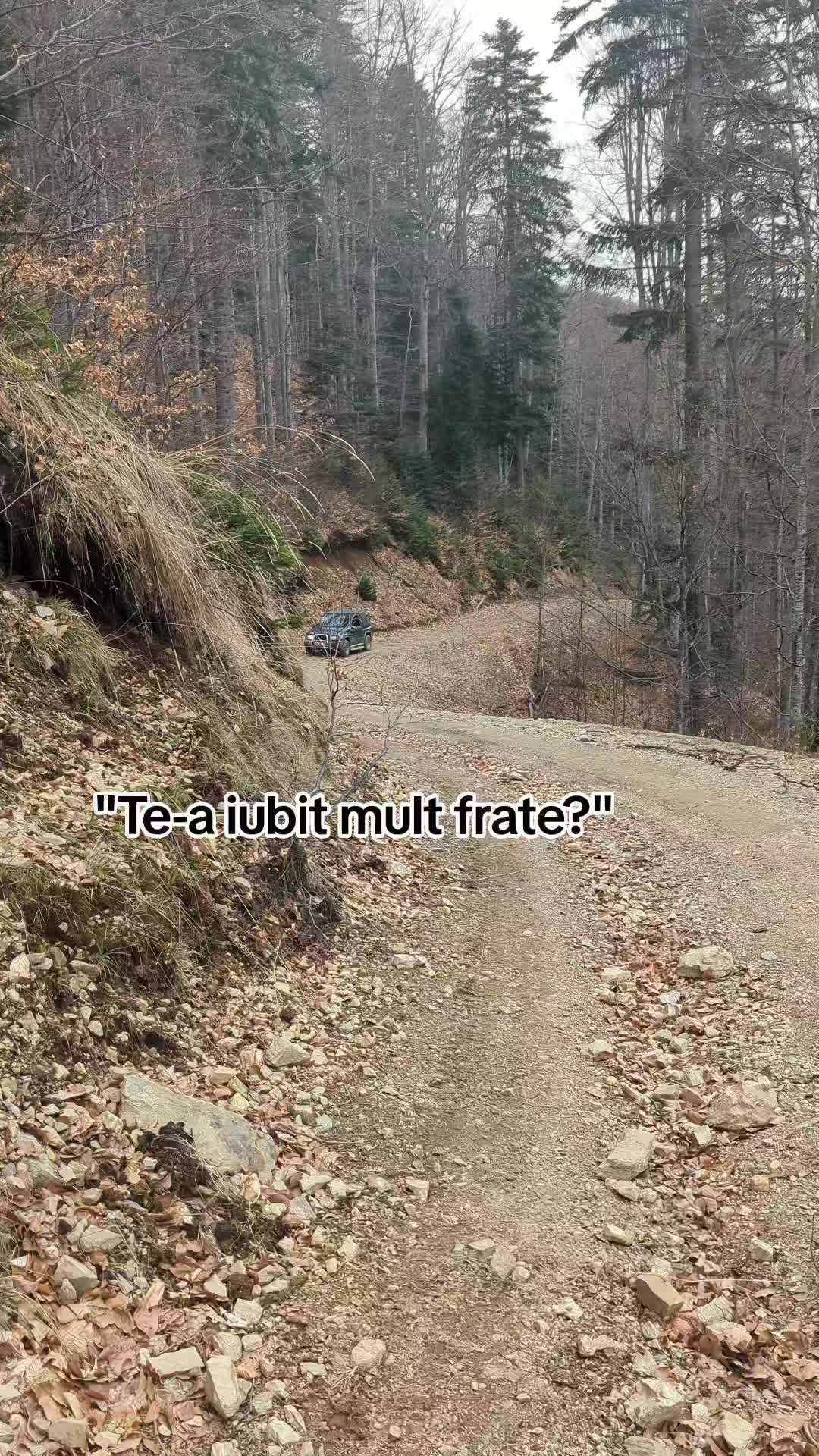 @Marius Bratu ~TP~
