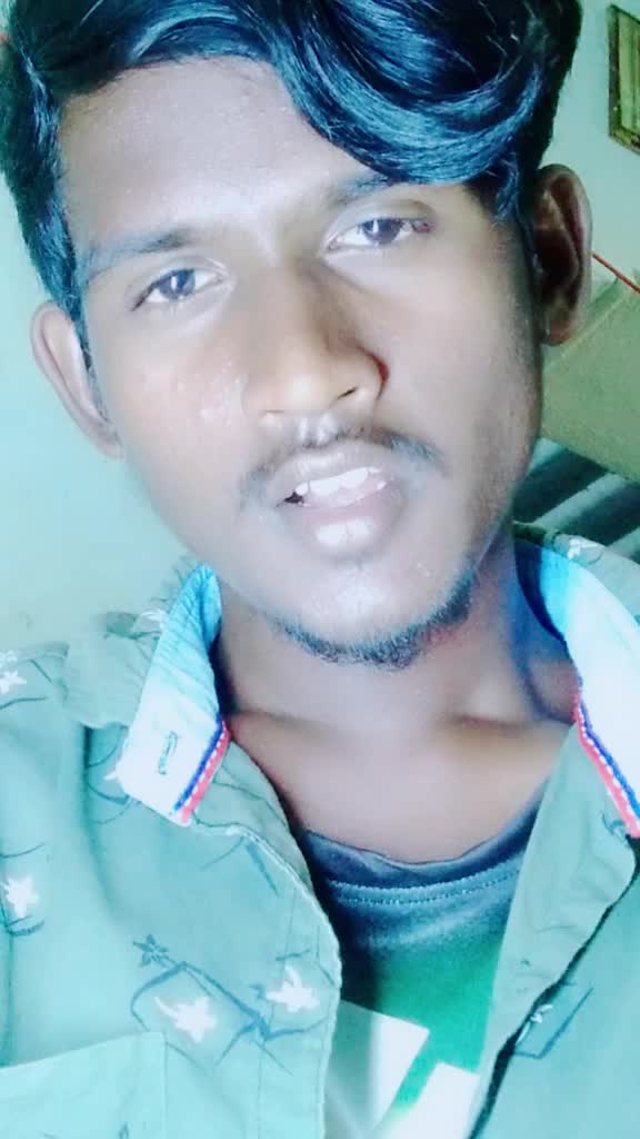 @bollepoguirmiya831