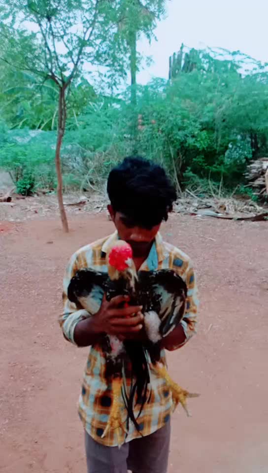 @seemon2kids