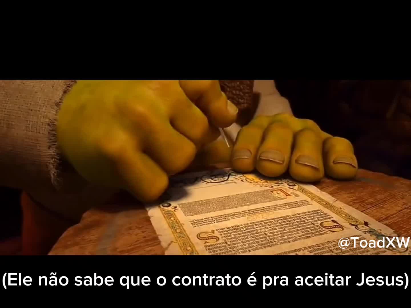 @ToadXW