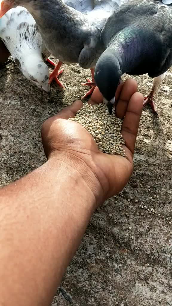 @vasanth raj 1228