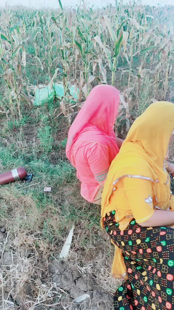 @aditi