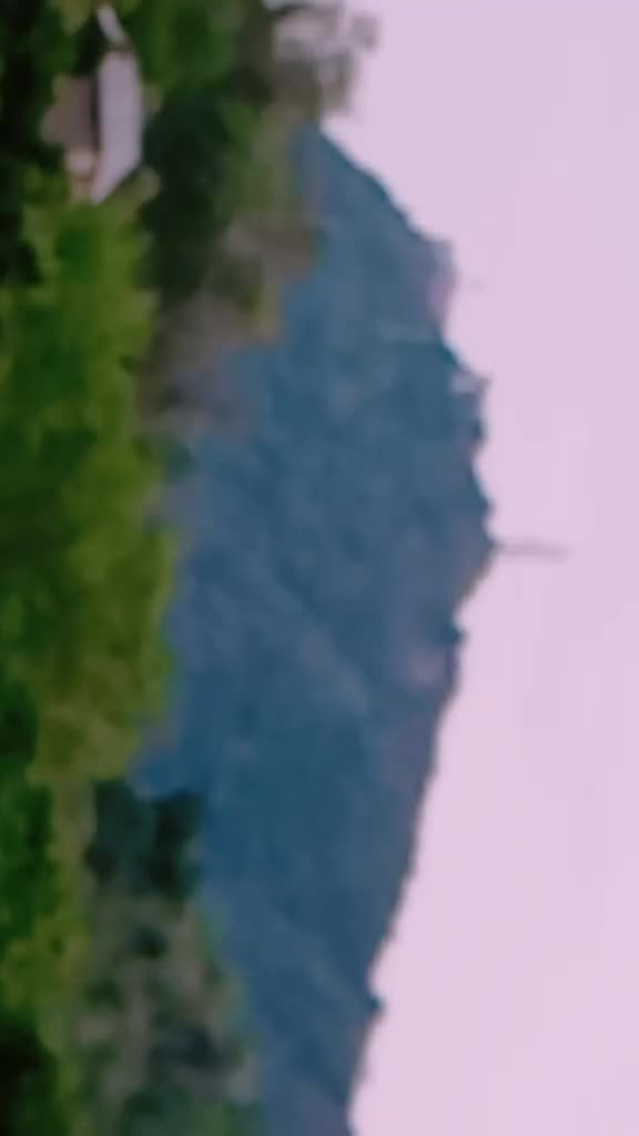 @sharma fojji