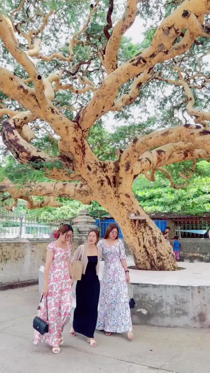 @Shwe Ya Min Oo (Nan San )đ