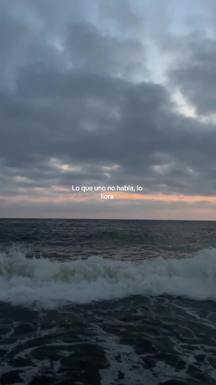 @lilbopip