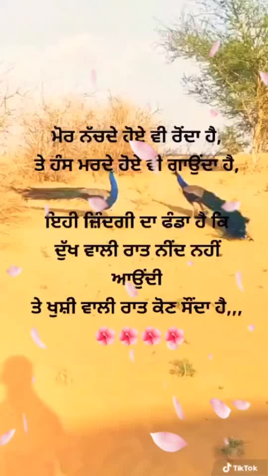 @offical tirath
