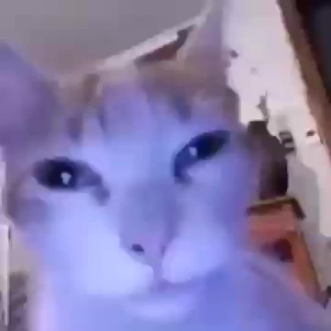 @Roske