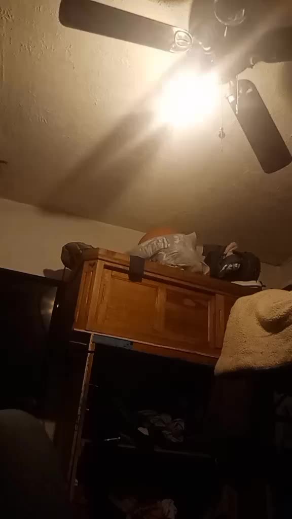@ngelaordoez0