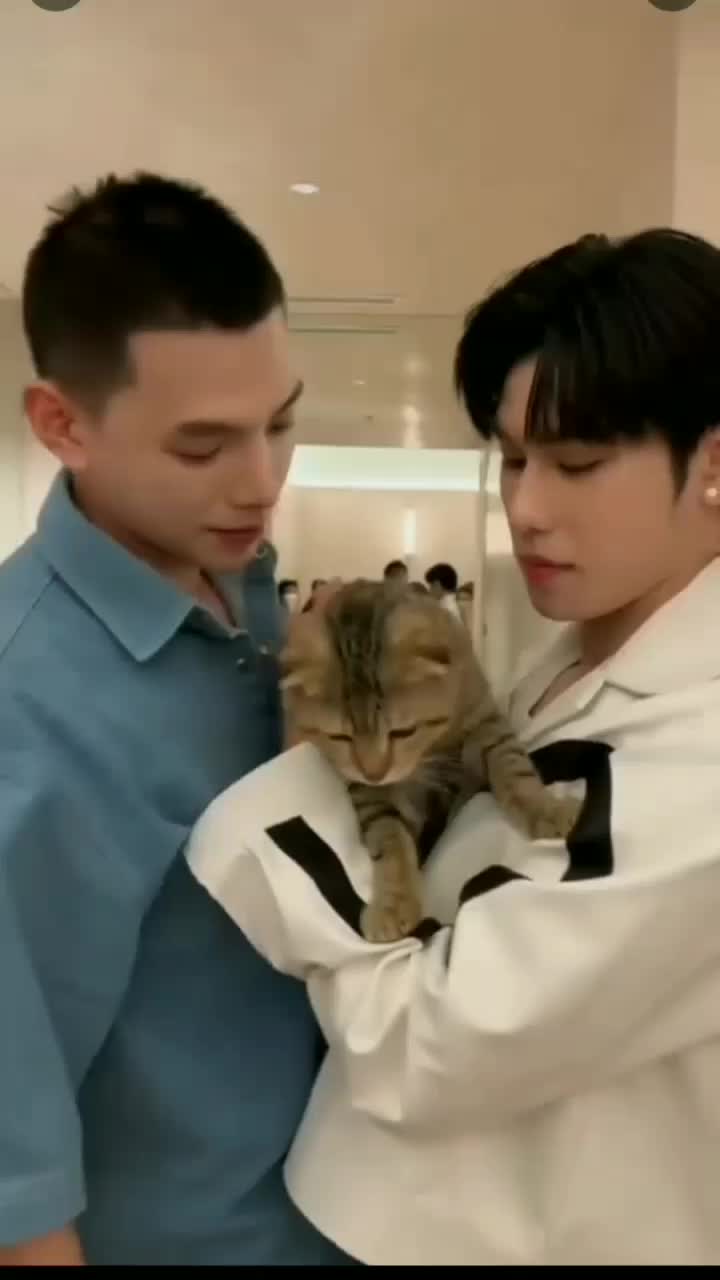 @oil_nubdao