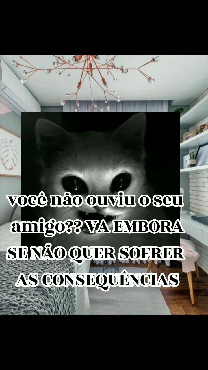 @Ozzy o gato