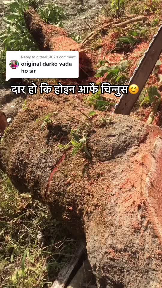 @Raju Hajipacha