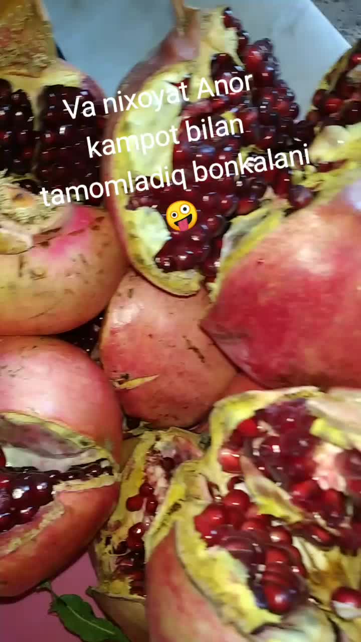 @Kumush Xorazm