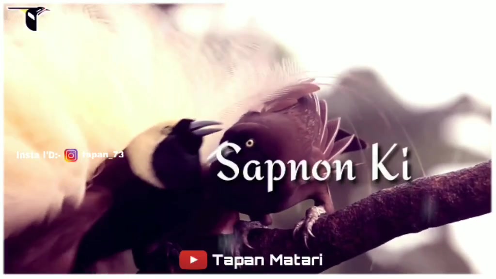 @Tapan Matari