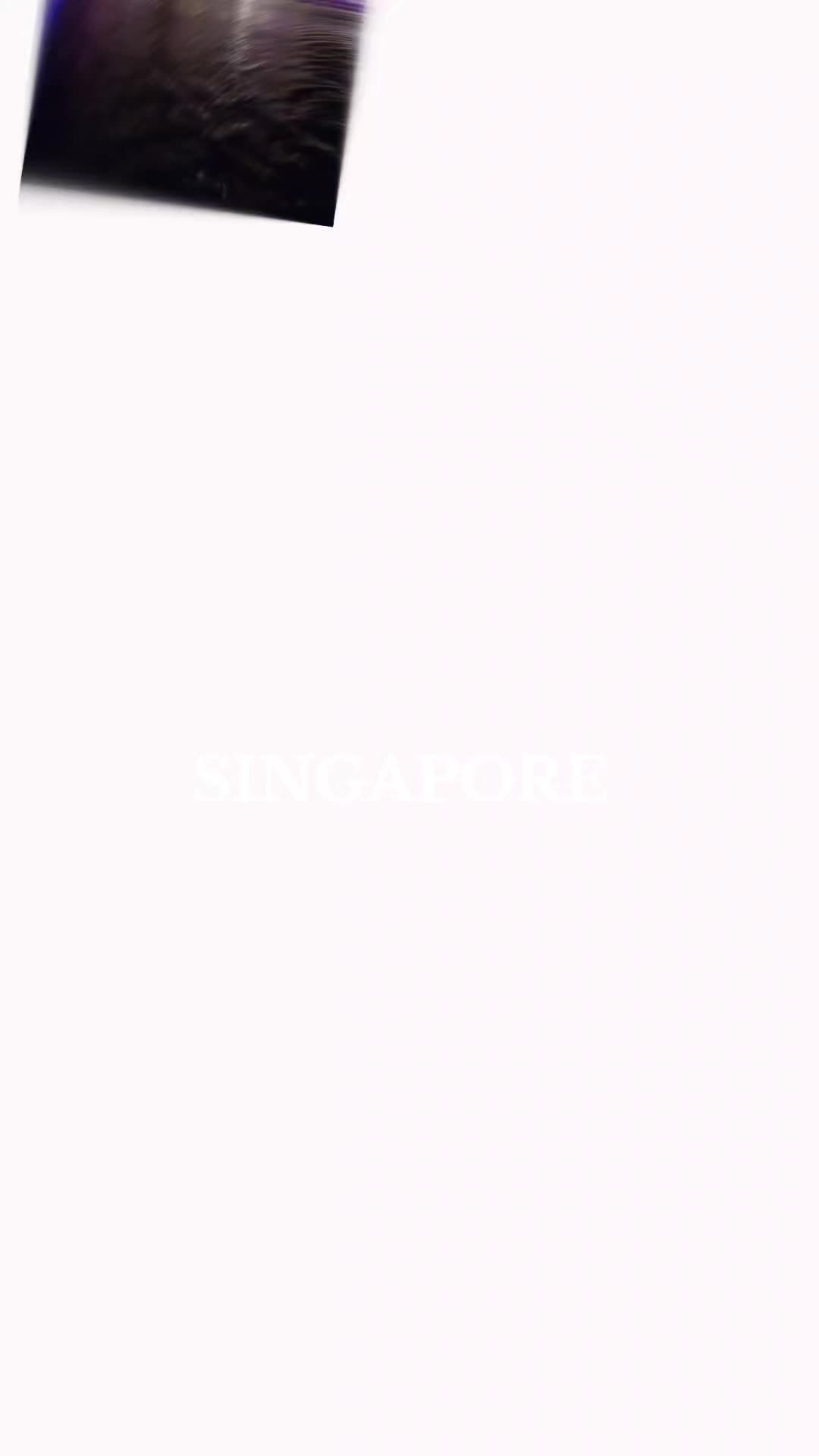 @스텔라테이블🇰🇷stella