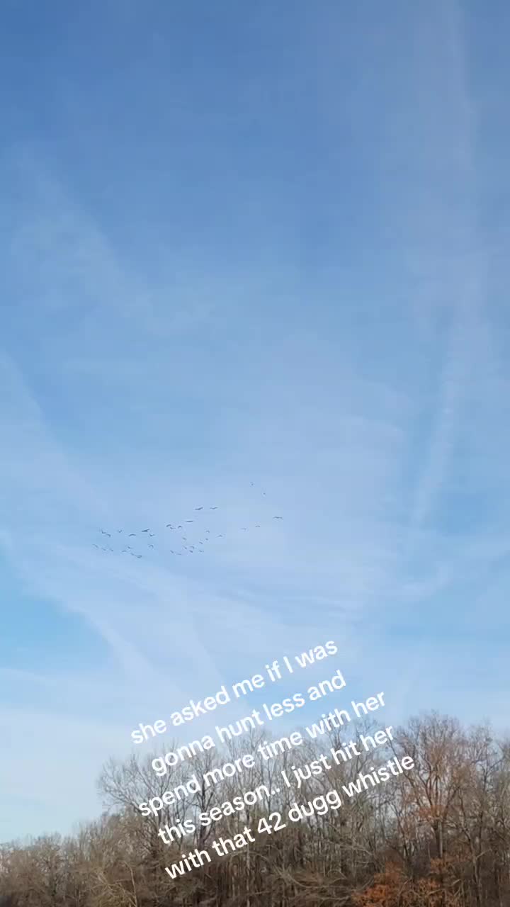 @thatduckdude