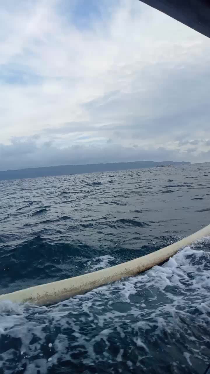 @bojo ne ika