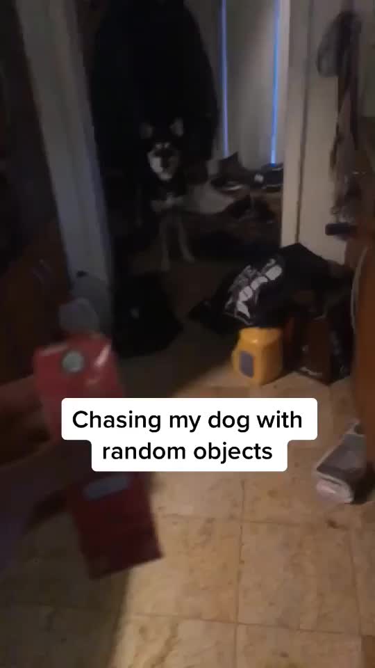 @Jaeden Sasaki
