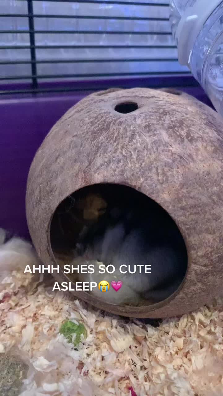 @mabel <3