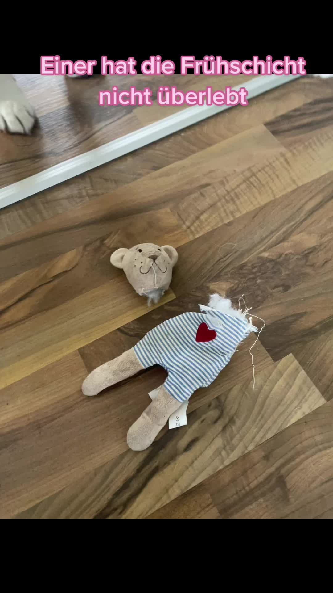 @harzerhunde