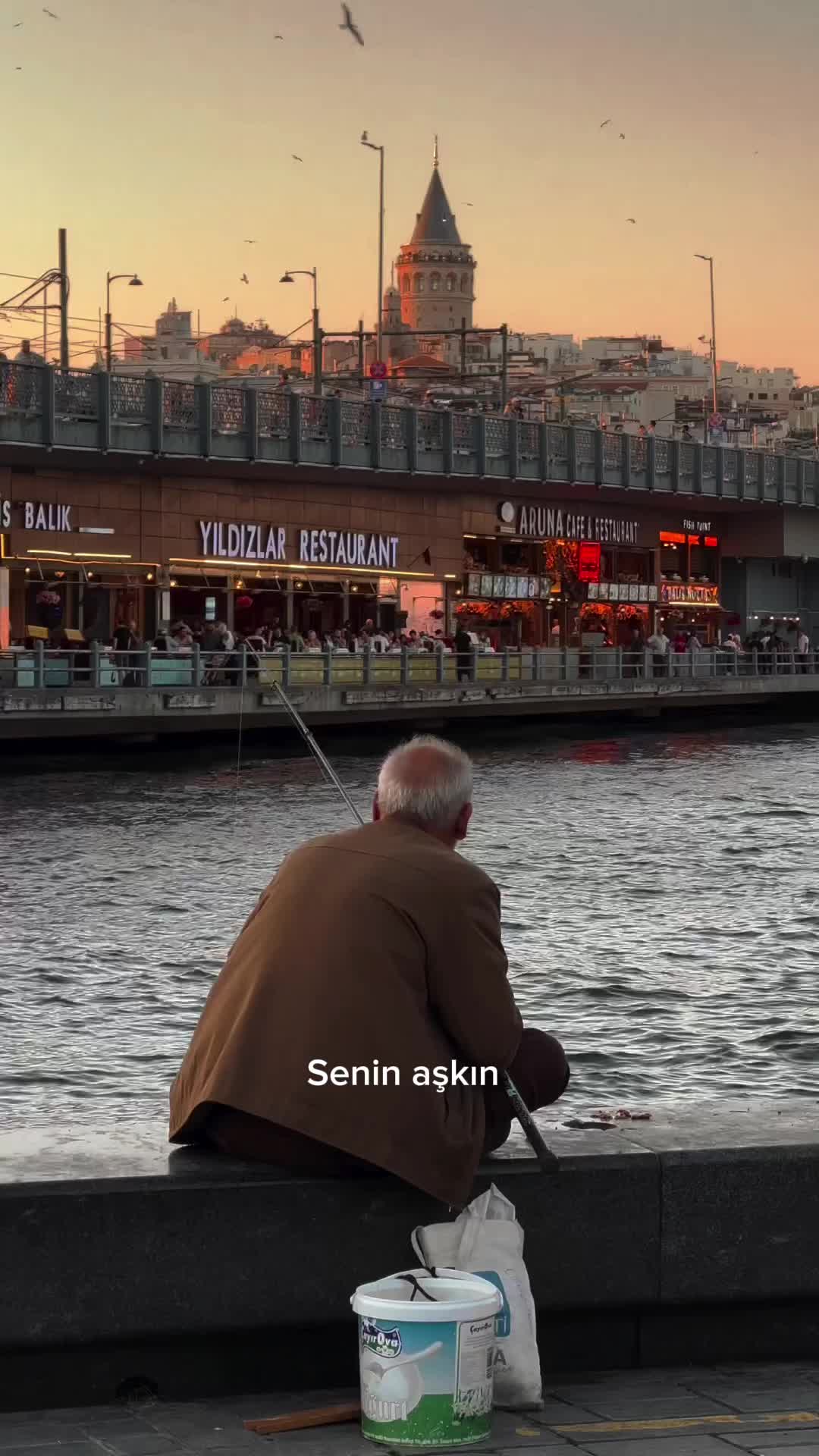 @Ayaz D.