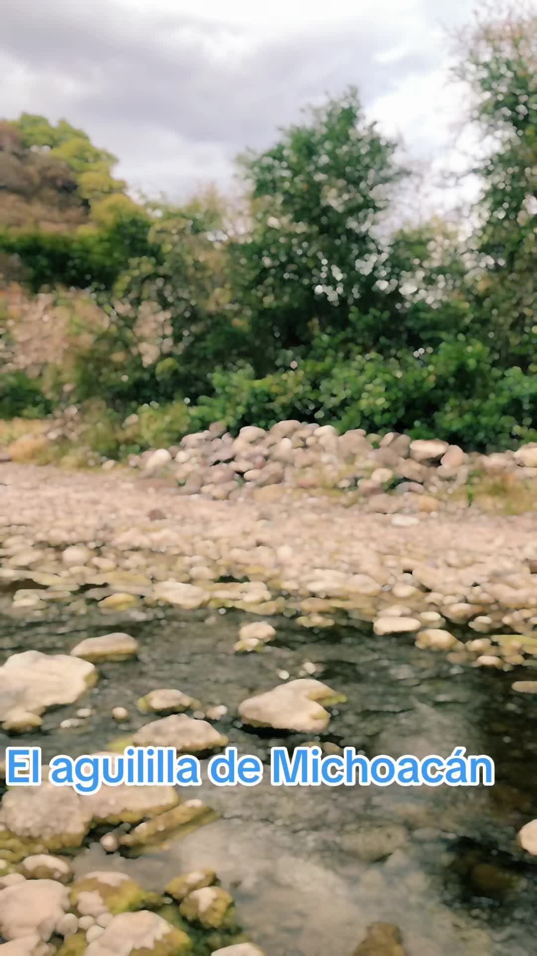 @EL_AGUILILLA_DE_MICHOACAN