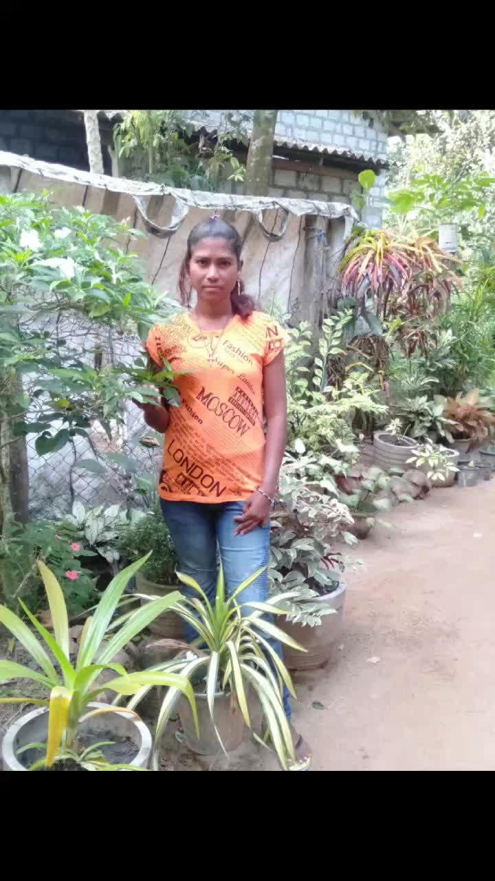 @Skumari