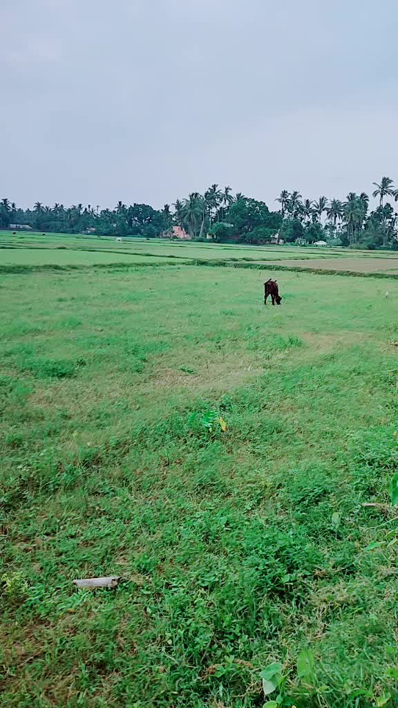 @pari.1399422