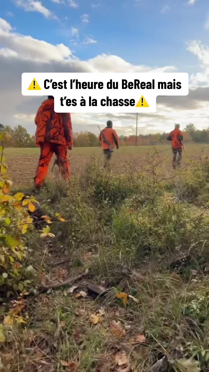 @chasse_89_